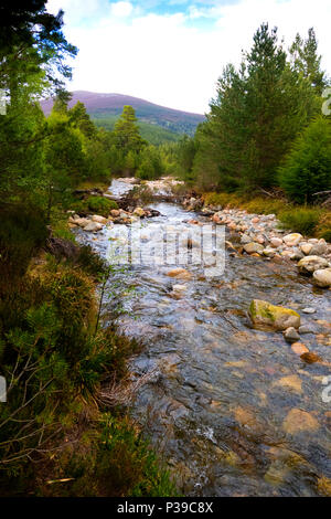 Affluent de la rivière à l'Ecosse Glenmore Banque D'Images