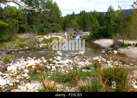 Affluent de la rivière à l'Ecosse Glenmore Banque D'Images