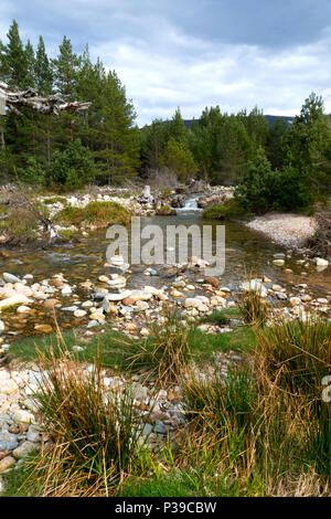 Affluent de la rivière à l'Ecosse Glenmore Banque D'Images