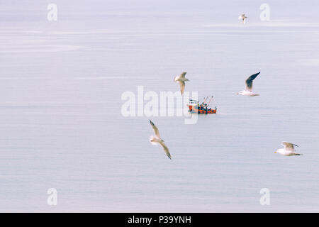 Résumé Contexte surréaliste, minimal, - petit bateau navigue tranquillement au milieu de la mer, dans l'avant-plan Mouettes volantes. Tons pastel Banque D'Images