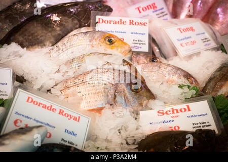 Amsterdam, Pays-Bas, Booth sur l'Albert Cuypmarkt Banque D'Images