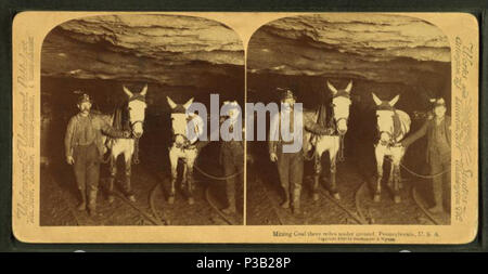 . L'extraction du charbon à cinq kilomètres sous terre, New York, U.S.A. Publié : c1900. Couverture : 1860 ?-1900 ?. Mentions légales Source : 1860 ?-1900 ?. Point numérique publié le 7-18-2005 ; mise à jour 2-13-2009. 191 l'extraction du charbon à cinq kilomètres sous terre, New York, Etats-Unis, de Robert N. Dennis collection de vues stéréoscopiques 5 Banque D'Images