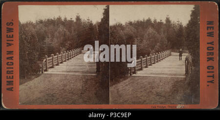 . Pont de chêne, Central Park. Titre alternatif : vues d'Amérique, New York City. Référence : [1860 ?-1900 ?]. Article publié le 4-12-2006 numérique ; mis à jour le 6-25-2010. 217 Oak Bridge, Central Park, par Chase, W. M. (1881-1944), ca. 1818-1901 2 Banque D'Images