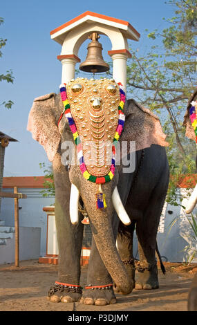 Les éléphants décorés sur le défilé à la fête annuelle du Temple de Siva, Cochin, Inde Banque D'Images