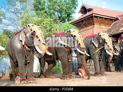 COCHIN, INDE - 03 février : Or caparisoned elephants de parade à la fête annuelle de Siva Temple, le 03 février. L'année 2009. Cochin, Kerala, Inde. Banque D'Images