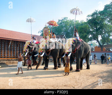 COCHIN, INDE - février 03:Parade avec de l'or caparisoned éléphants à la fête annuelle de Siva Temple, le 03 février. L'année 2009. Cochin, Kerala, Inde. Banque D'Images