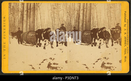 . Le dérapage à Thomas Foster's. Titre alternatif : Dans le pineries . Article publié le 4-8-2005 numérique ; mis à jour le 2-12-2009. 273 le dérapage à Thomas Foster's, par Jenney, J. A. (James A.) 2 Banque D'Images