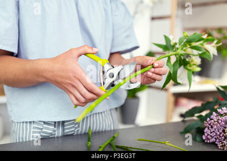 Close up of jardin pruner Banque D'Images