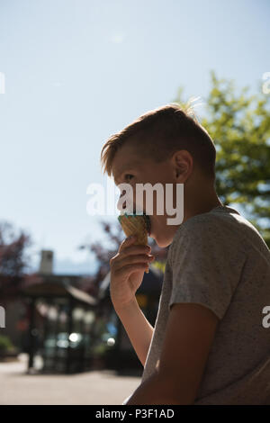 Boy having ice cream on a sunny day Banque D'Images
