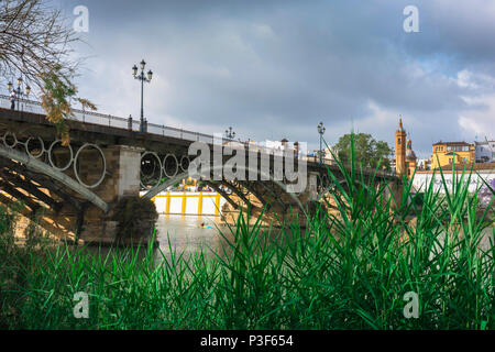 Pont de Séville, vue sur le pont historique Punte de Isabel II (Triana) enjambant le Rio Guadalquivir à Séville - Séville - Andalousie, Espagne. Banque D'Images