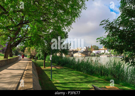 Rio Guadalquivir, Séville voir le long d'un sentier Riverside dans le Parque Recreativo Cesped en vue de la Triana (Puente Isabel II), pont d'Espagne. Banque D'Images