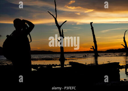 Silhouette d'arbres et de bois contre le soleil couchant sur la plage au Chidiya Tapu, Andaman Banque D'Images