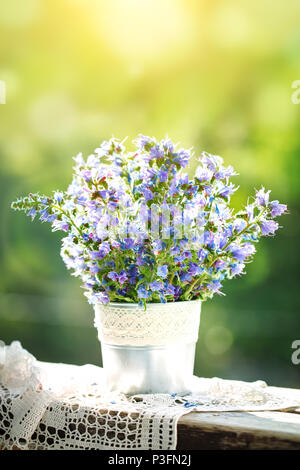 Belles fleurs violettes dans un vase dans un jardin d'été. Toujours été la vie. Banque D'Images