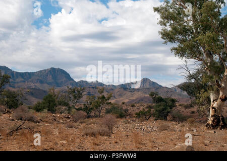 Moralana Scenic Drive South Australia, paysages de l'outback Banque D'Images