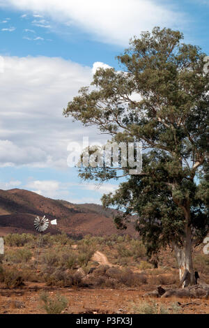 Moralana Scenic Drive South Australia, outback paysage avec moulin Banque D'Images