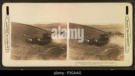 . Anglais : Vingt-six l'ensileuse combinée au travail, la récolte, le battage et le renvoi, dans l'État de Washington, États-Unis TITRE ALTERNATIF : le "Perfec' stéréogramme. 12675. Date de publication : 1905. Référence : 1905. Point numérique publié le 1-25-2006 ; mise à jour 2-13-2009. 334 Vingt-six l'ensileuse combinée au travail, la récolte, le battage et le renvoi, dans l'État de Washington, Etats-Unis, de Robert N. Dennis collection de vues stéréoscopiques 2 Banque D'Images