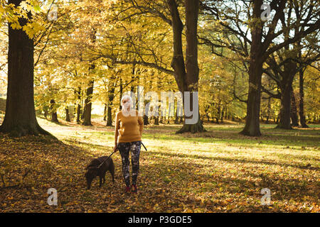 Hauts femme marche dans le parc avec son chien de compagnie Banque D'Images