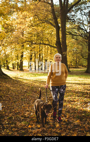 Hauts femme marche dans le parc avec son chien de compagnie Banque D'Images