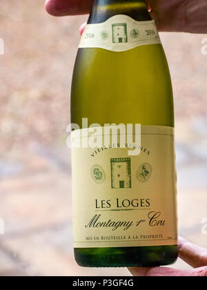 Main tenant une bouteille de qualité fine glacée, vin blanc Français Montagny 1er Cru, Les Loges, Vieilles Vignes 2016 Banque D'Images