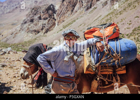 L'Argentine cowboys superviser la mule de fournitures le long sentier pour camp de base sur l'Aconcagua, Mendoza, Argentine Banque D'Images