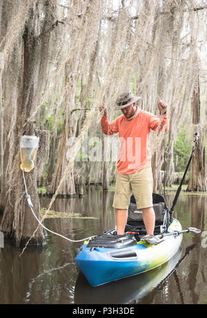 Angler filtrant l'eau dans la forêt de cyprès Banque D'Images