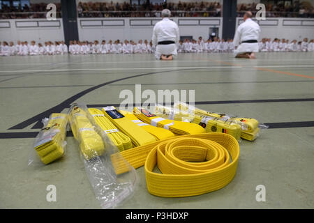 Berlin, Deutschland. 17 Juin, 2018. Avant le test du karaté pour enfants la ceinture jaune dans le Berlin sports club SV goala eV commence, les Prussiens et les Senseis s'agenouiller après le traditionnel modèle japonais. Utilisation dans le monde entier | Credit : dpa/Alamy Live News Banque D'Images