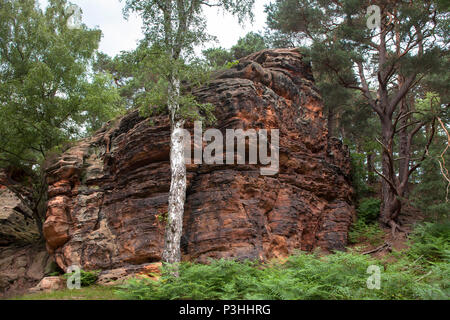 L'Allemagne, l'Katzensteine cat (pierres) dans la vallée de la Vey creek entre Mechernich et Satzvey. Le Katzensteine font partie d'un bunter areal, whi Banque D'Images