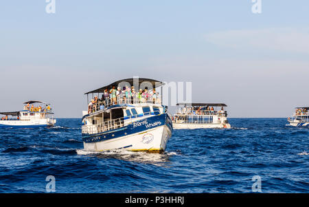 L'observation des baleines touristiques bondés des bateaux d'excursion en mer paniers avec les touristes à la recherche pour les baleines bleues et les dauphins au large de Weligama, du sud du Sri Lanka Banque D'Images