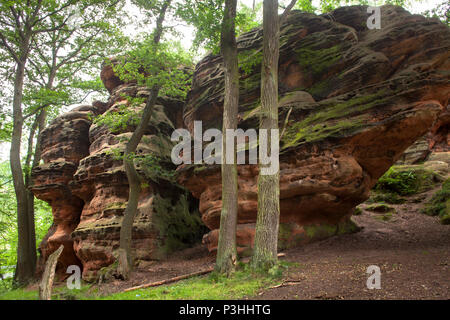 L'Allemagne, l'Katzensteine cat (pierres) dans la vallée de la Vey creek entre Mechernich et Satzvey. Le Katzensteine font partie d'un bunter areal, whi Banque D'Images