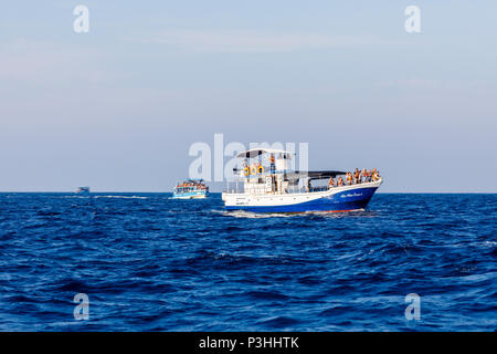 L'observation des baleines touristiques bondés des bateaux d'excursion en mer paniers avec les touristes à la recherche pour les baleines bleues et les dauphins au large de Weligama, du sud du Sri Lanka Banque D'Images