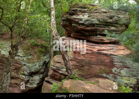 L'Allemagne, l'Katzensteine cat (pierres) dans la vallée de la Vey creek entre Mechernich et Satzvey. Le Katzensteine font partie d'un bunter areal, whi Banque D'Images