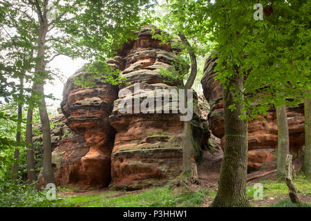 L'Allemagne, l'Katzensteine cat (pierres) dans la vallée de la Vey creek entre Mechernich et Satzvey. Le Katzensteine font partie d'un bunter areal, whi Banque D'Images