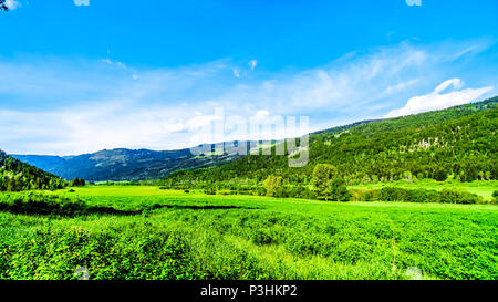 Les champs agricoles, les prairies et les montagnes le long de la route du ruisseau Heffley-Louis à Barierre de Whitecroft dans les hautes terres de Shuswap, Colombie-Britannique, Canada Banque D'Images