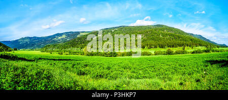 Les champs agricoles, les prairies et les montagnes le long de la route du ruisseau Heffley-Louis à Barierre de Whitecroft dans les hautes terres de Shuswap, Colombie-Britannique, Canada Banque D'Images