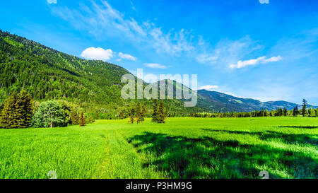 Les champs agricoles, les prairies et les montagnes le long de la route du ruisseau Heffley-Louis à Barierre de Whitecroft dans les hautes terres de Shuswap, Colombie-Britannique, Canada Banque D'Images