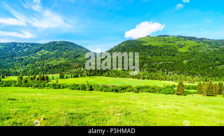 Les champs agricoles, les prairies et les montagnes le long de la route du ruisseau Heffley-Louis à Barierre de Whitecroft dans les hautes terres de Shuswap, Colombie-Britannique, Canada Banque D'Images