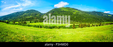 Les champs agricoles, les prairies et les montagnes le long de la route du ruisseau Heffley-Louis à Barierre de Whitecroft dans les hautes terres de Shuswap, Colombie-Britannique, Canada Banque D'Images