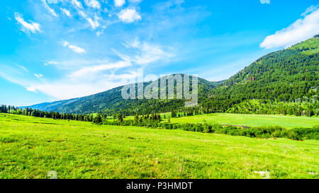 Les champs agricoles, les prairies et les montagnes le long de la route du ruisseau Heffley-Louis à Barierre de Whitecroft dans les hautes terres de Shuswap, Colombie-Britannique, Canada Banque D'Images