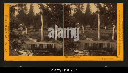 . White & les écoutilles, comté de Mariposa, Cal. Titre alternatif : C.E.Watkins' Côte du Pacifique, no1178. Création : 1867-1874. Couverture : 1867 ?-1874 ?. Point numérique publié le 8-31-2005 ; mise à jour 7-21-2008. 381 White &AMP ; les écoutilles, comté de Mariposa, Cal, par Watkins, Carleton E., 1829-1916 Banque D'Images