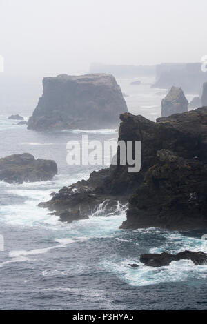 Les piles de la mer et les falaises dans la brume à Eshaness / Esha Ness, dans la péninsule Northmavine sur l'île de Mainland, Shetland, Scotland, UK Banque D'Images