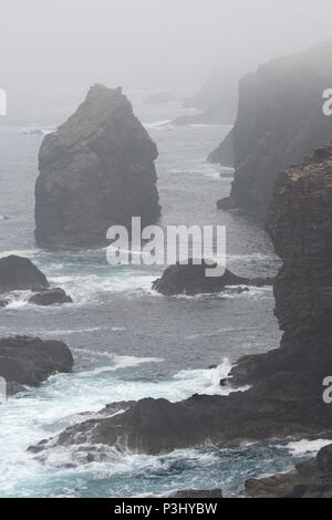 Les piles de la mer et les falaises dans la brume à Eshaness / Esha Ness, dans la péninsule Northmavine sur l'île de Mainland, Shetland, Scotland, UK Banque D'Images