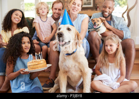 Deux familles de célébrer l'anniversaire de chien à la maison Banque D'Images