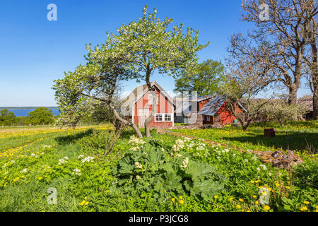 Potager dans un paysage rural Banque D'Images