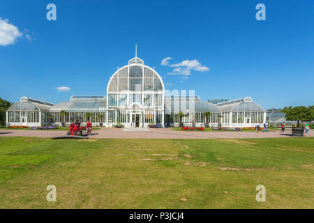 Serre à la Palm Garden Society de Göteborg Banque D'Images