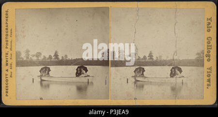 . Avis de deux couples sur un bateau. Titre alternatif : Yale College. Couverture : 1865 ?-1890 ?. Mentions légales Source : 1865 ?-1890 ?. Point numérique publié le 1-25-2006 ; mise à jour 5-18-2009. 367 Avis de deux couples dans un bateau, par Prescott &AMP ; Blanc Banque D'Images