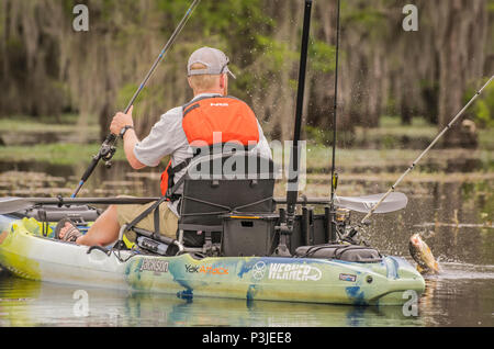 Pêcheur à pris le serran, Caddo Lake, Texas, États-Unis Banque D'Images