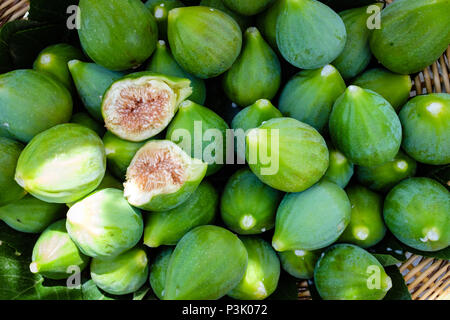 Figues fraîchement cueillies, Ficus carica - Pouilles, Italie Banque D'Images