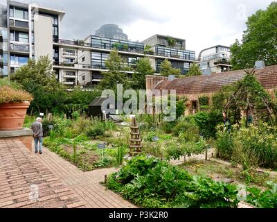 Homme marchant dans le potager, le parc de Bercy, Paris, France Banque D'Images