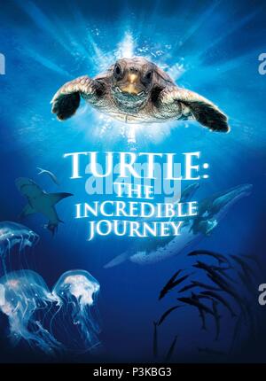 Titre original : TURTLE : L'INCROYABLE VOYAGE. Titre en anglais : TURTLE : L'INCROYABLE VOYAGE. Directeur : NICK STRINGER Film. Année : 2009. Banque D'Images