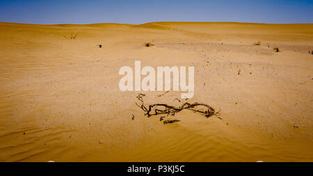Le lit du lac à sec de Draa Ouid près de la frontière algérienne, dans le sud du Maroc Banque D'Images
